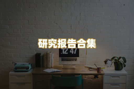 研究报告合集